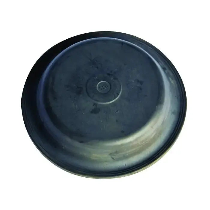 Diaphragm Type 20 - Brakes